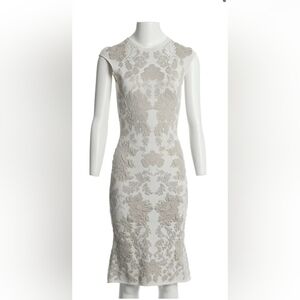 Alexander McQueen Mid-length Dress